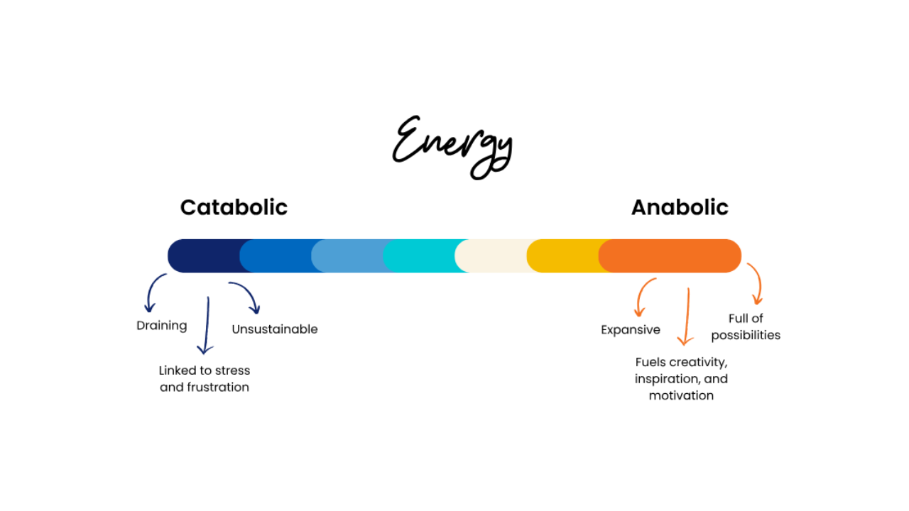 Energy Leadership Index Assessment: What It Is and How It Helps Leaders