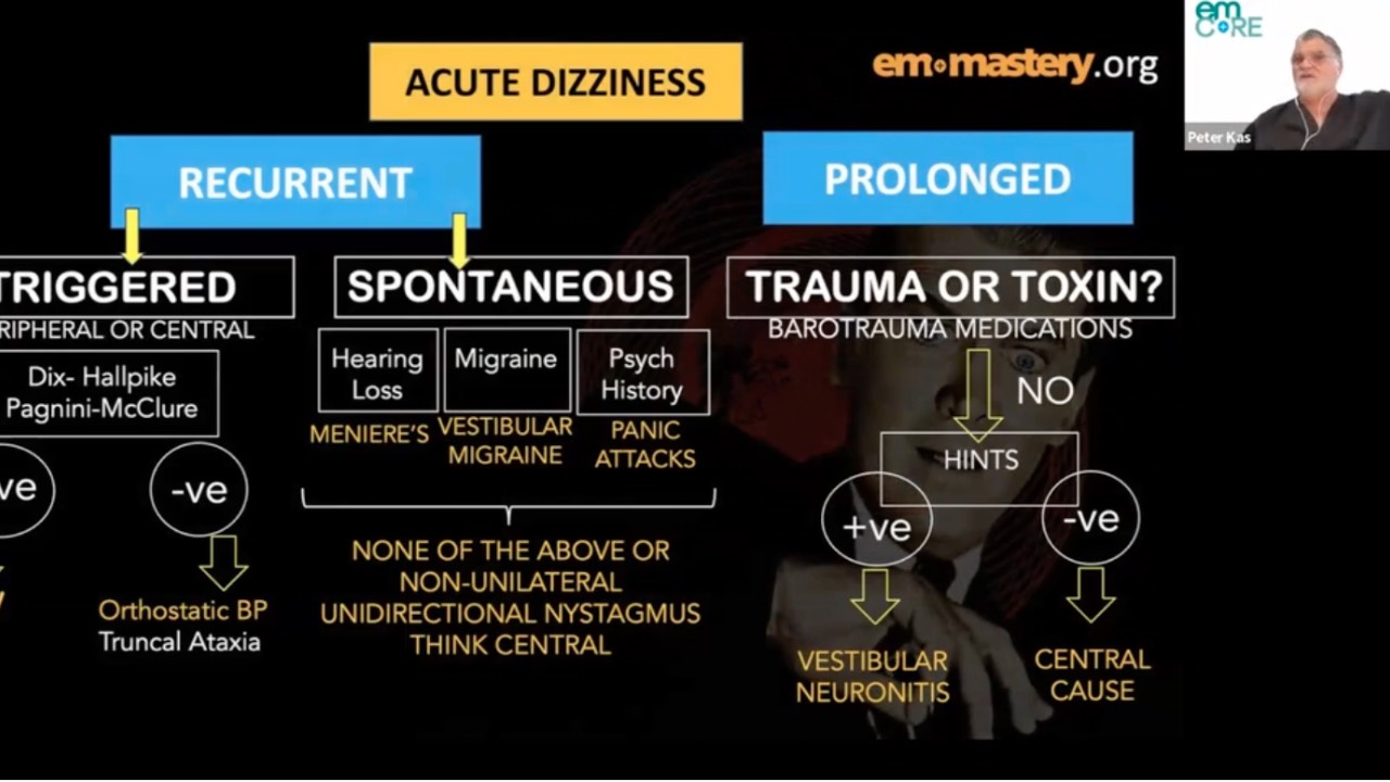 Dizziness Em Algorithm The Dizzy Patient