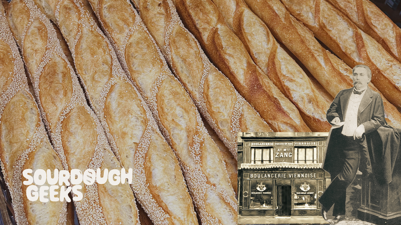 August Zang, Boulangerie Viennoise, modern baguettes 