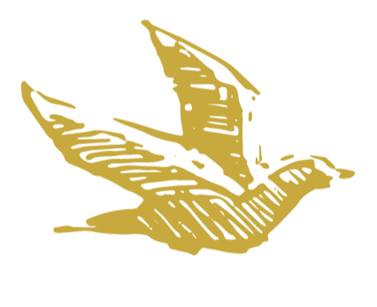 Graphic of a Golden Rising Sun