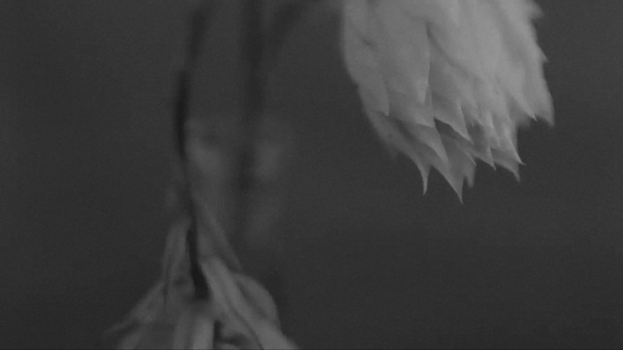 Courses On Demand, image size:1280x720