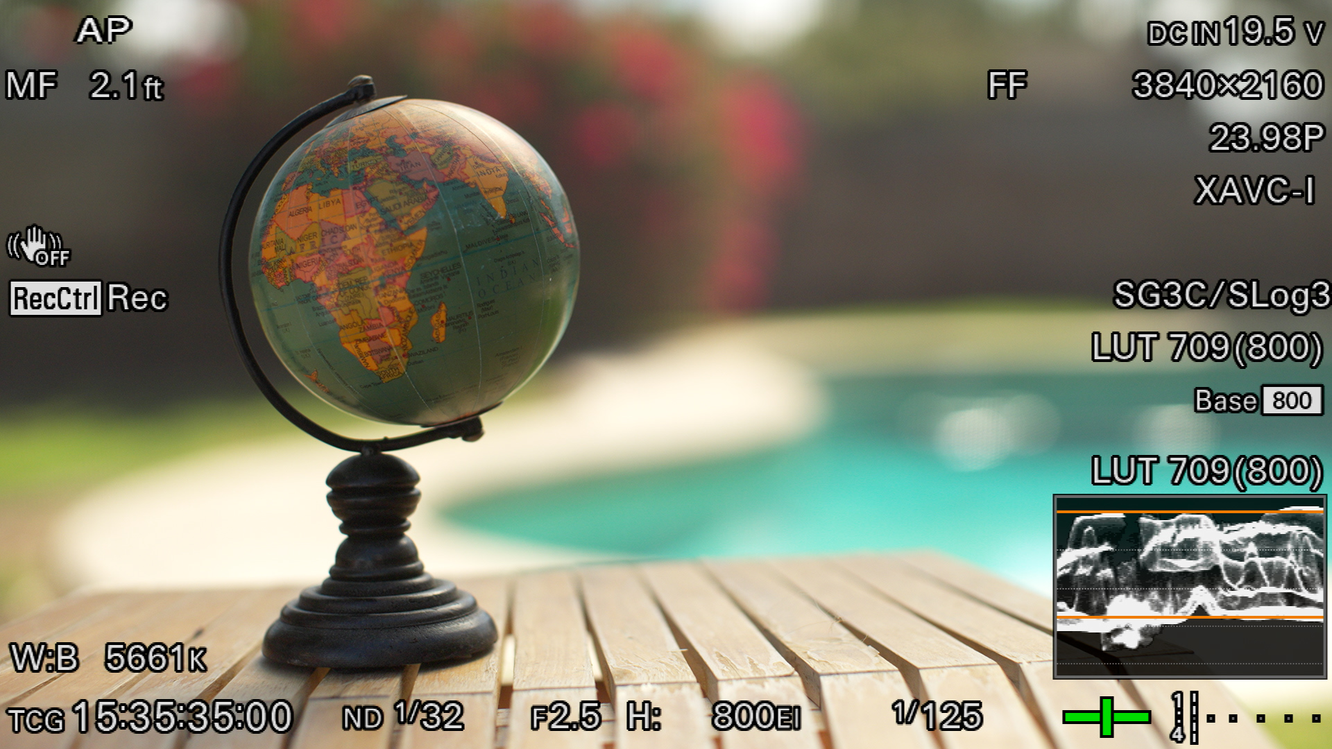 Globe after overhead diffusion softened the direct sunlight and removed hard reflections