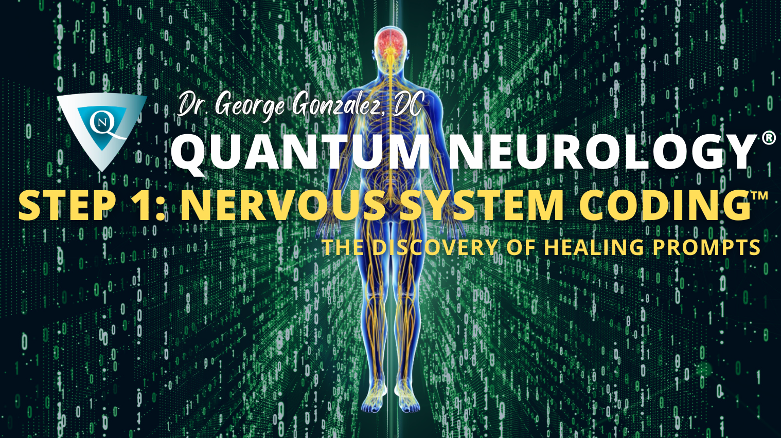 Step 1: QN Nervous System Coding - Training Only