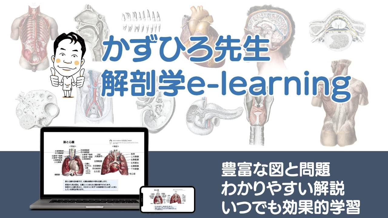 かずひろ先生 解剖学e-learning