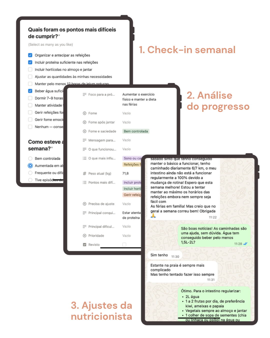Mockup do acompanhamento por check-in semanal
