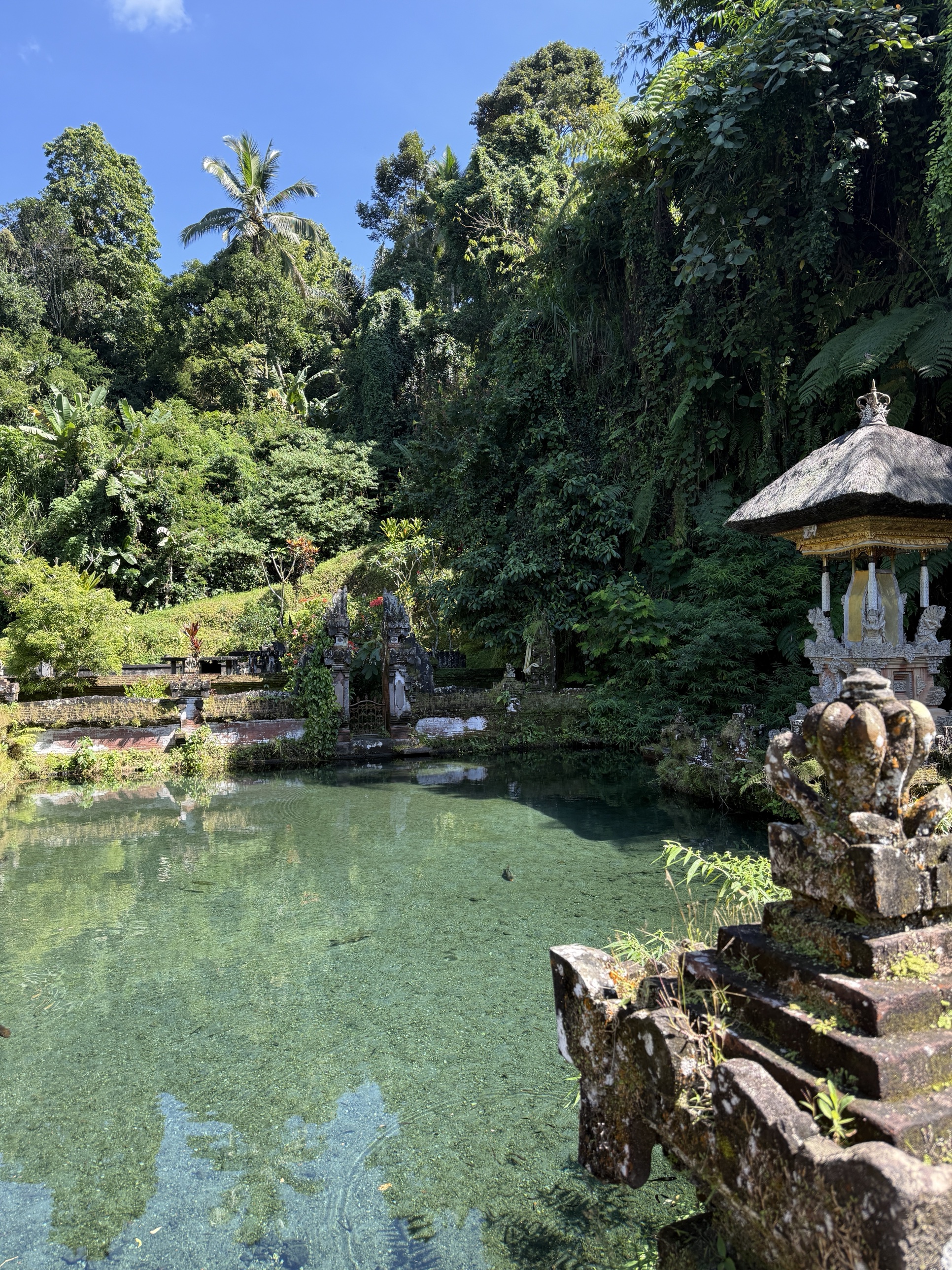 Tranquil water temple and lily pond visited during RECHARGE Bali retreat