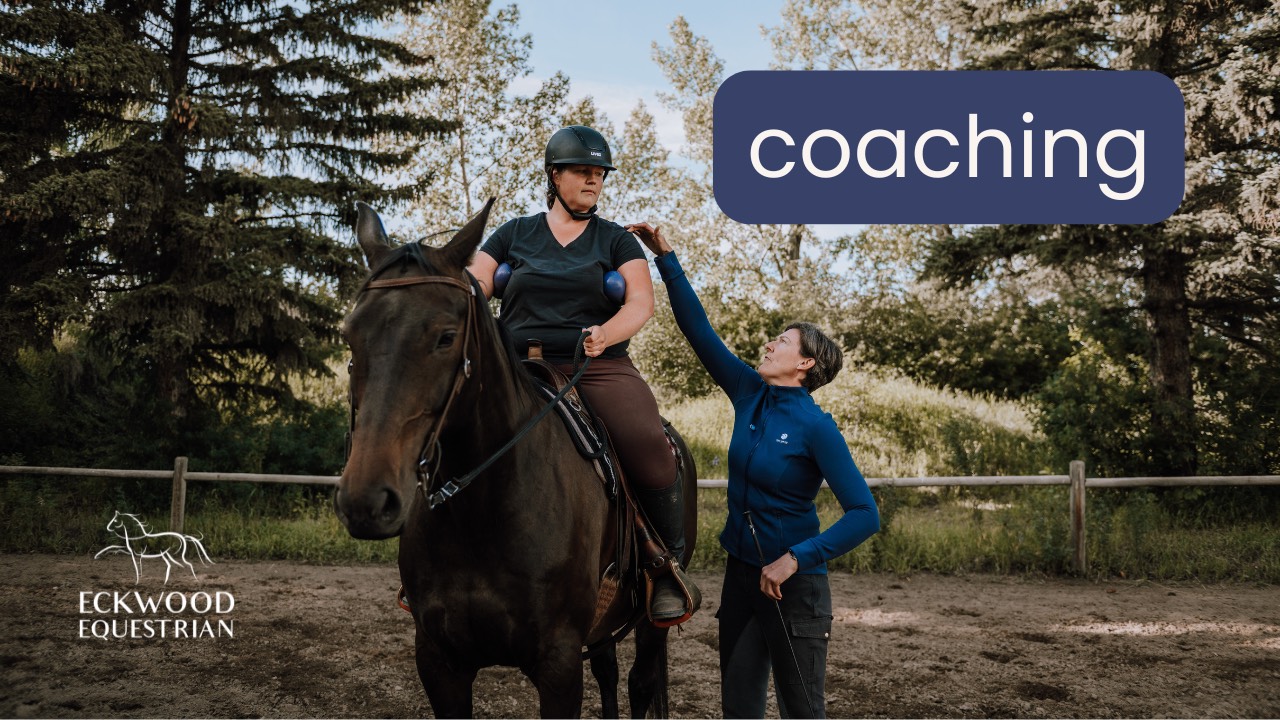 Student-Centered Coaching for Clear, Consistent Riding Cues