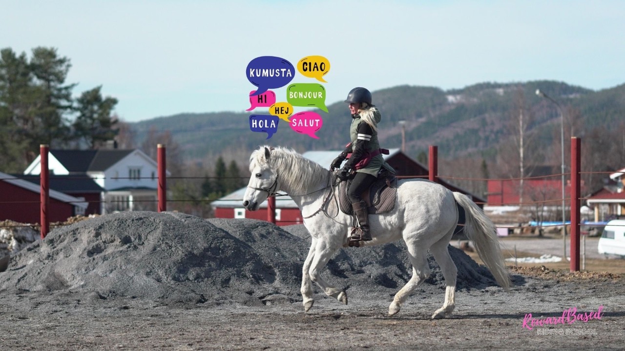 Reward For Safe Riding Core Skills and Foundation Behaviors for the Reward Based Horse
