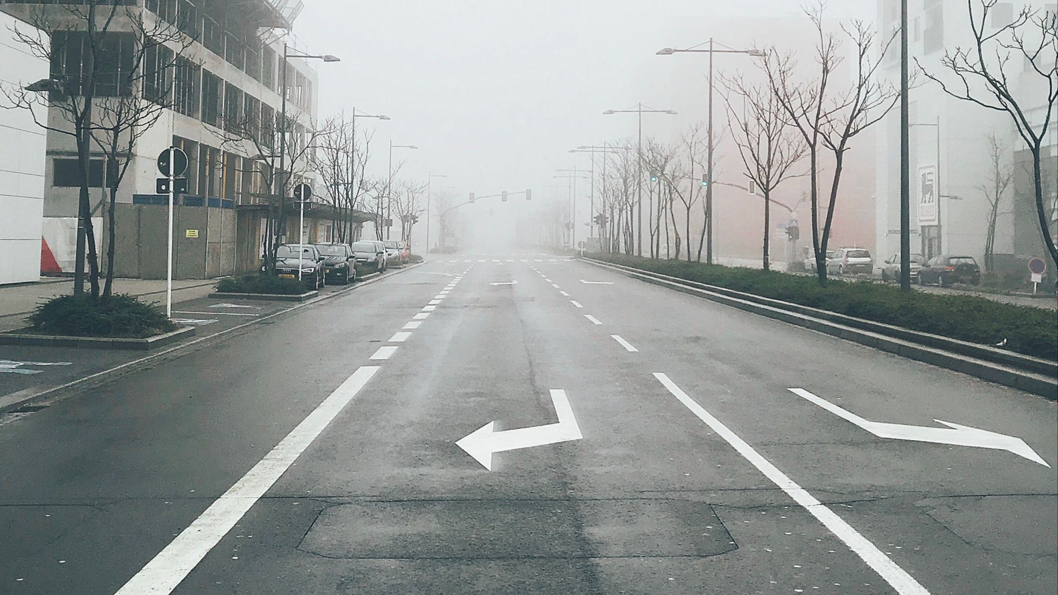 Foggy urban street with multiple lane arrows pointing in different directions, symbolising career choice, flexibility, and non-linear career paths.