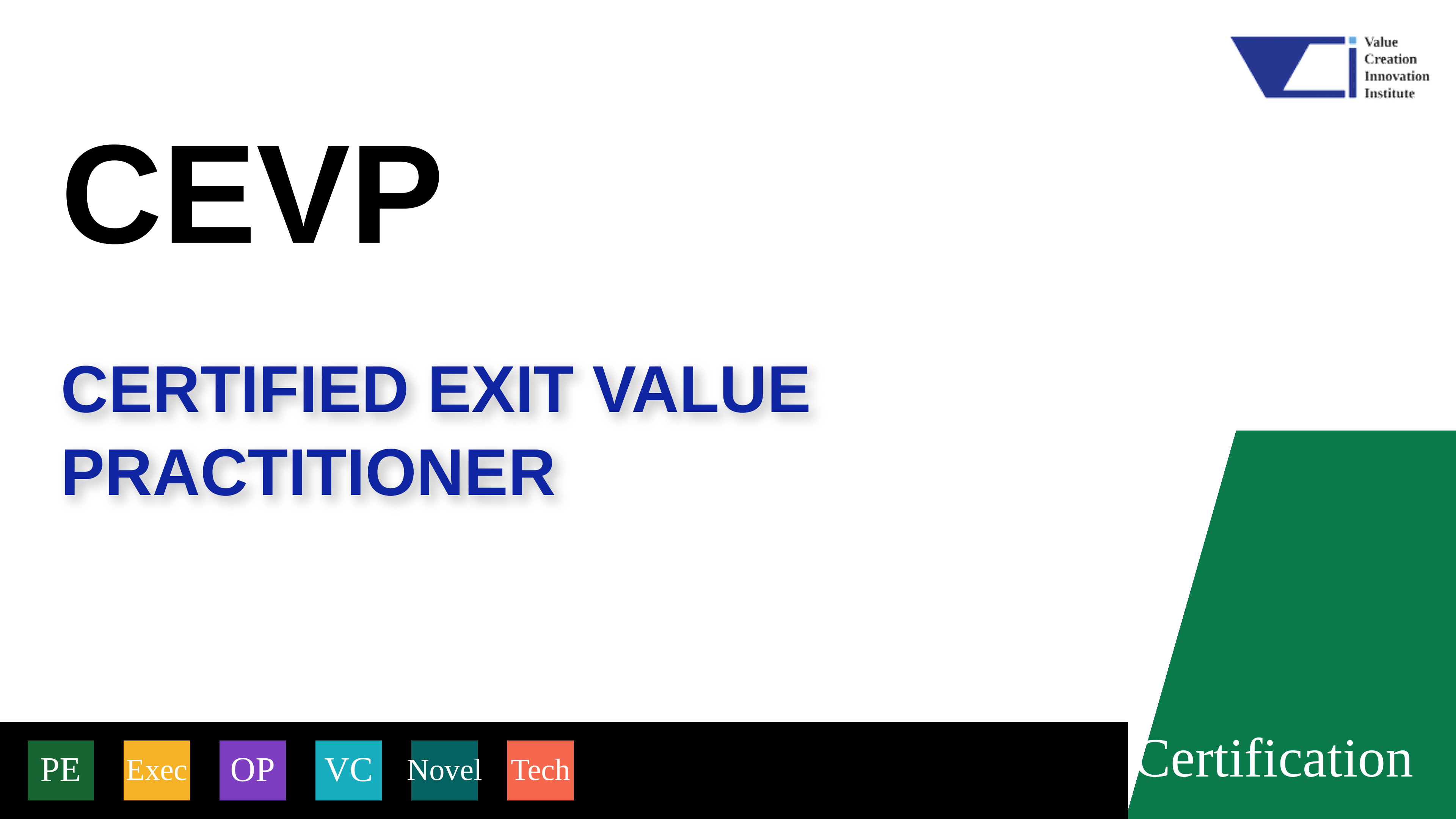 CEVP: Exit and Value Realisation
