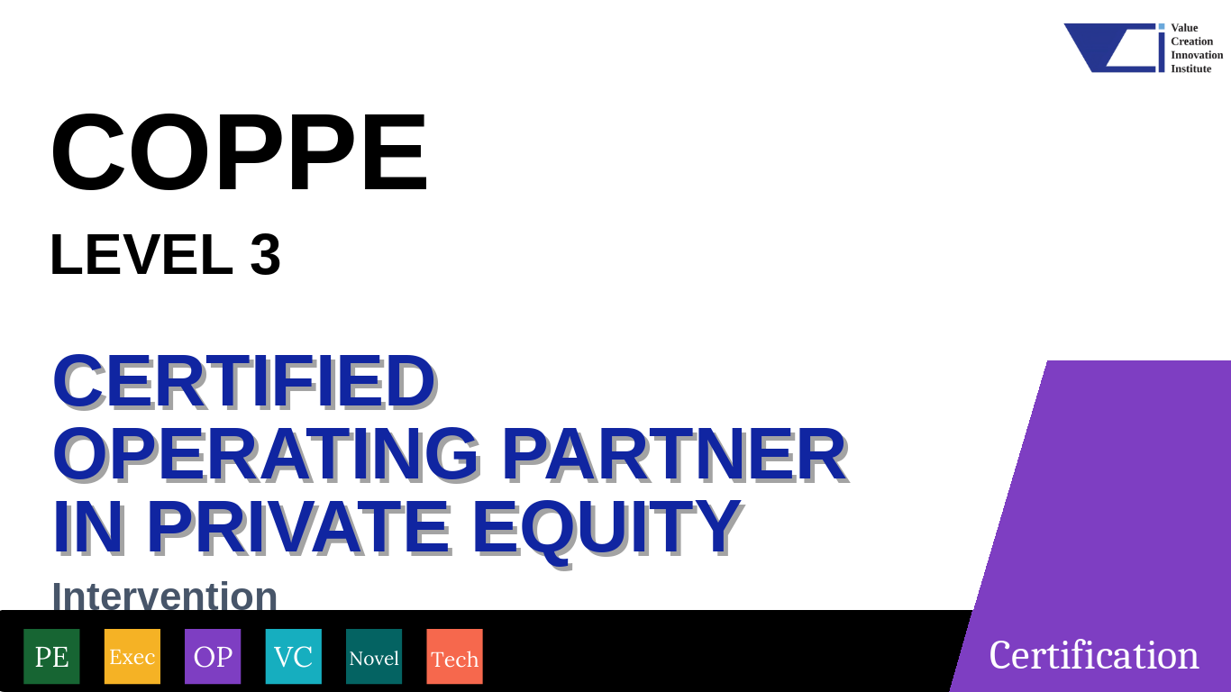 COPPE Level 3 Intervention, a VCI Institute certification