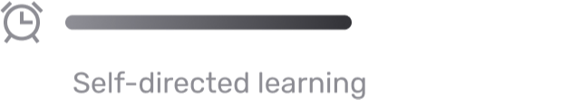 Self-directed learning progress bar, visually indicating a slower-paced, independent study approach.