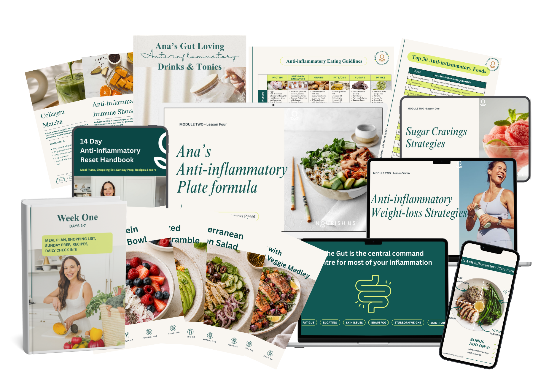 The 14 Day Anti-inflammatory Mama Reset course: video lessons, handbook, meal plans, recipes and guides