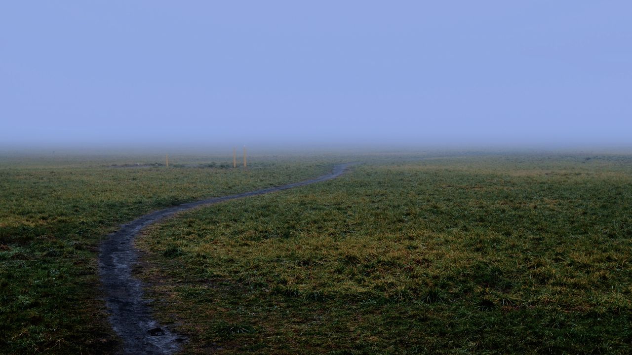 A dirt path winding across a field and disappearing into fog