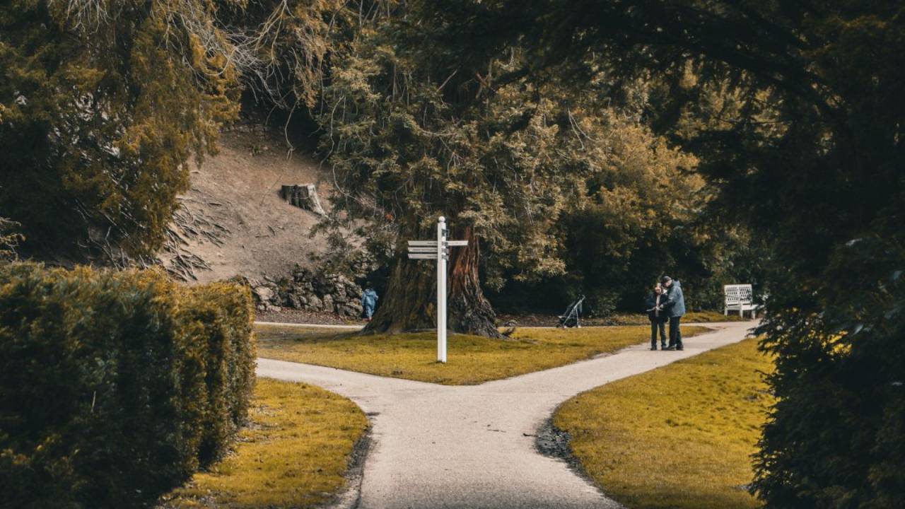 A forked path with a signpost in a park — two routes to becoming an IFS practitioner