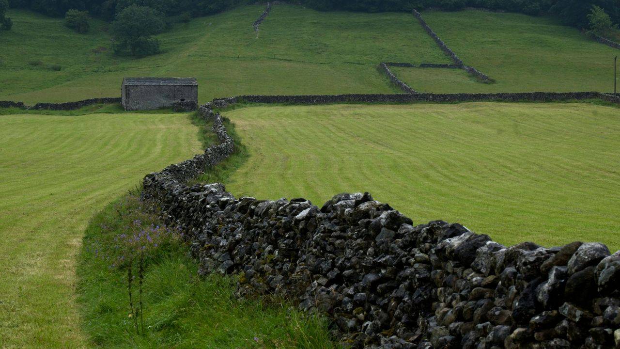 A dry stone wall marking a clear line between green fields in the English countryside