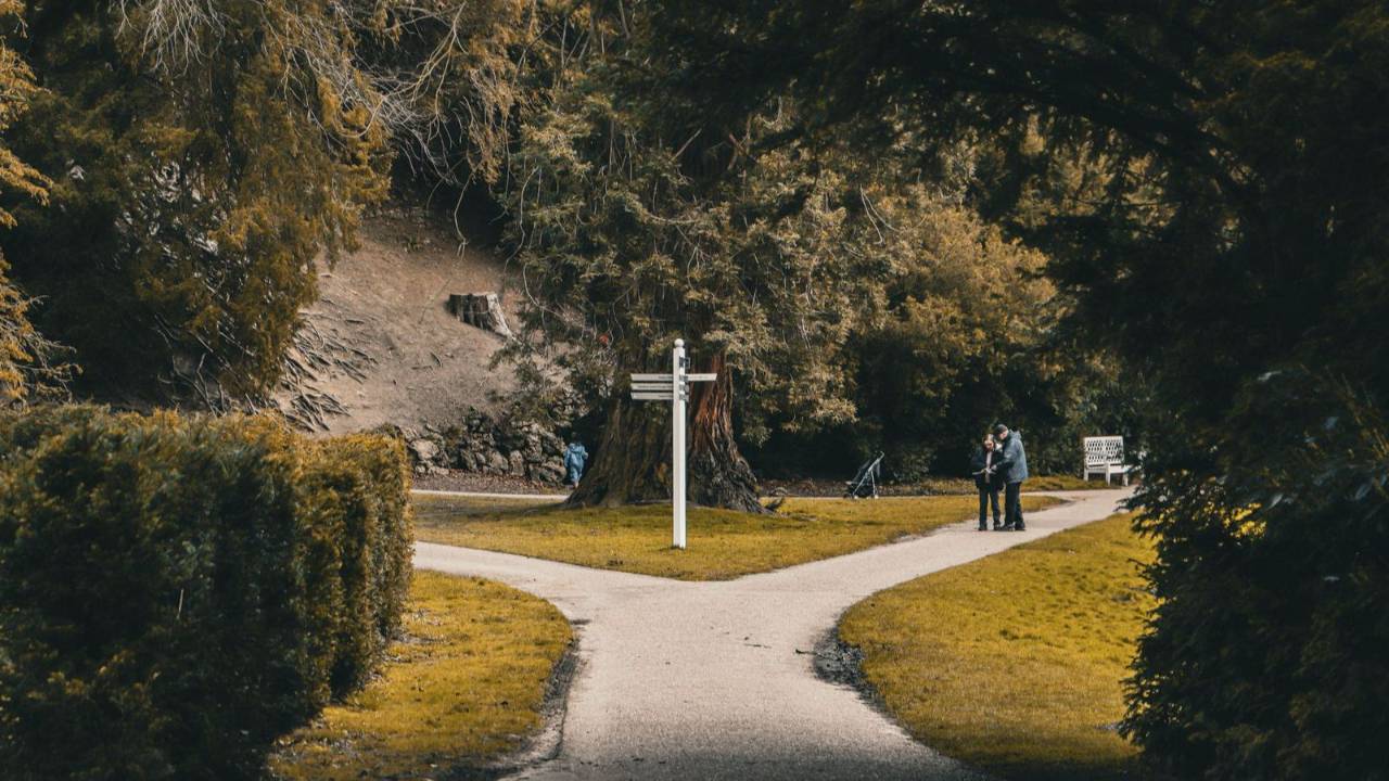 A forked path with a signpost in a green park, like choosing between two similarly named IFS programs for coaches