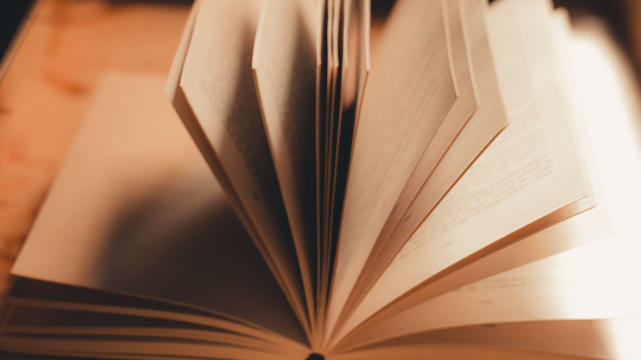 Open book with pages fanned in warm light — a plain-language glossary of Internal Family Systems terms