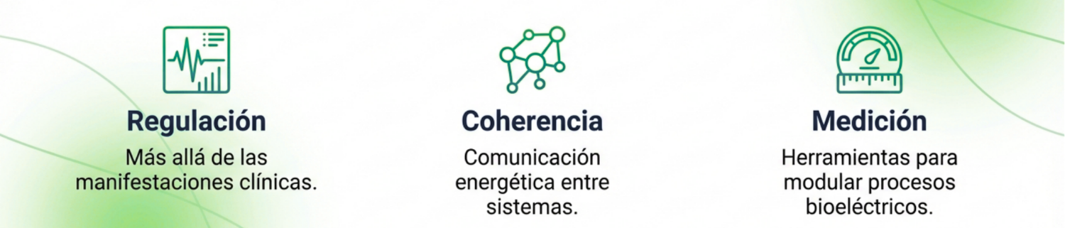 Imagen regulacion, coherencia y medicion