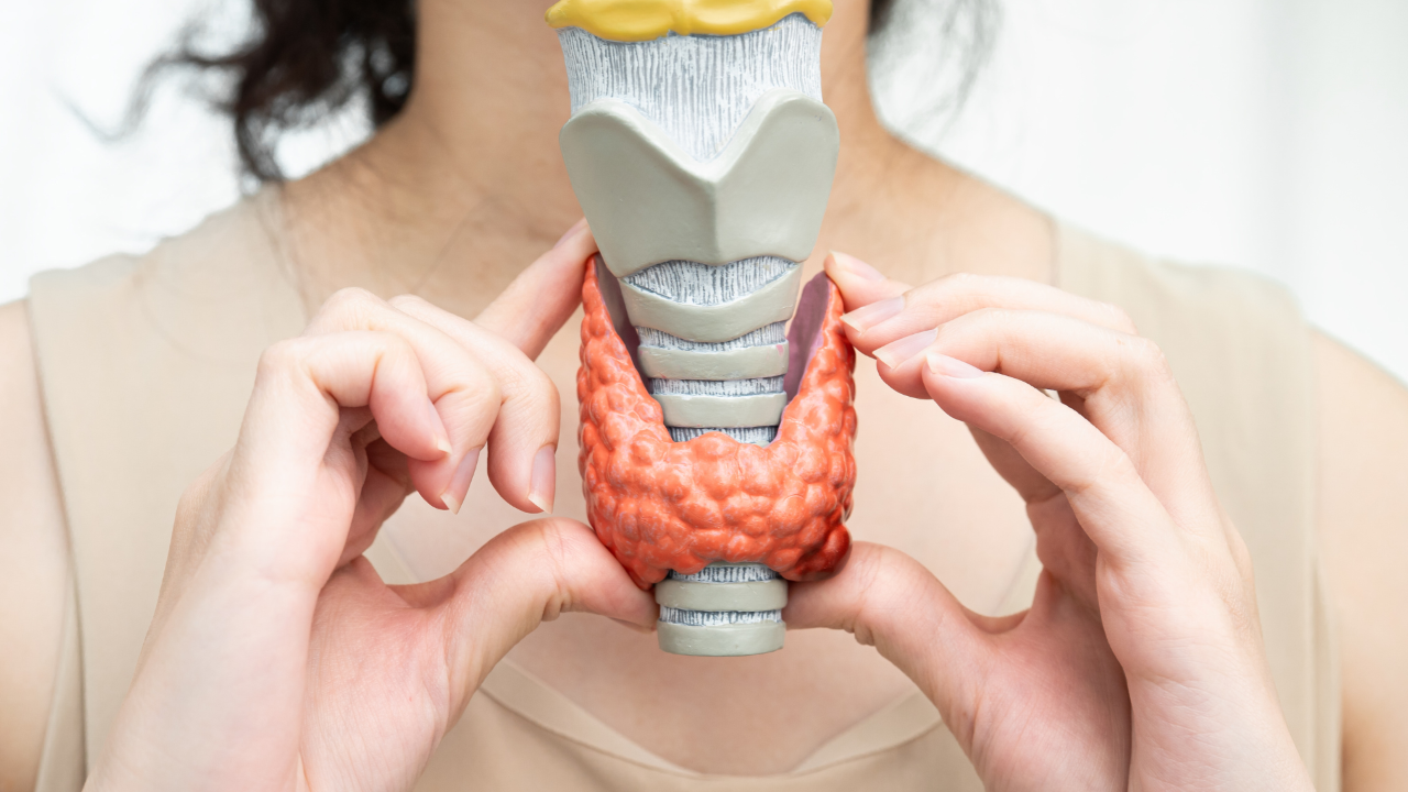 nti-inflammatory foods for Hashimoto's thyroiditis - Dr. Sarah Khan functional nutritionist