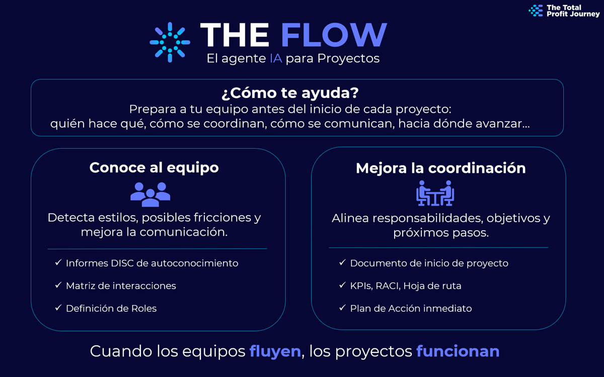 THE FLOW - Agente IA para proyectos THE FLOW - Agente IA para proyectos