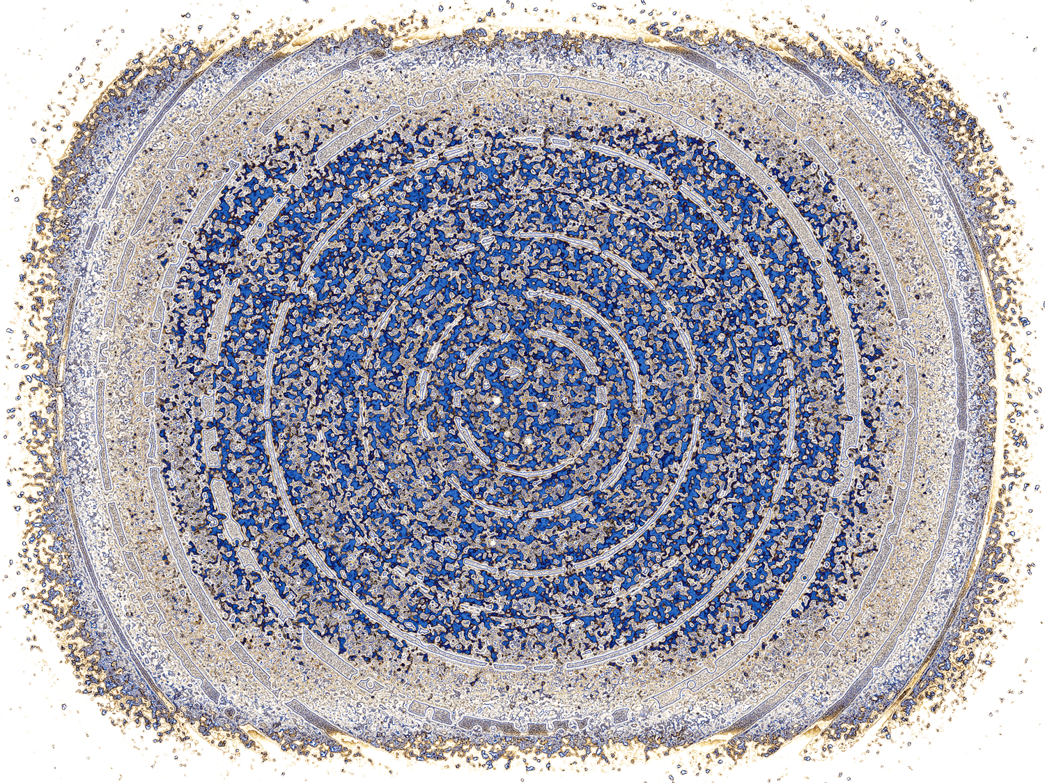 Abstract Colour 9
