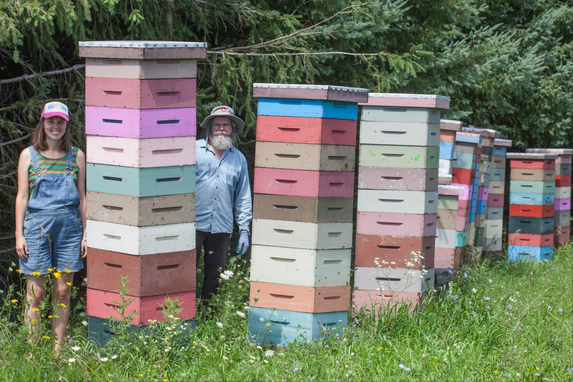 Stacked Hives, Gurushabd and Har-Prakash, ?