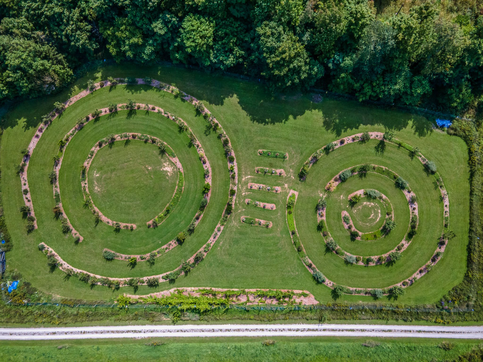 Aerial Orchard Rings, Photo by Matt Green