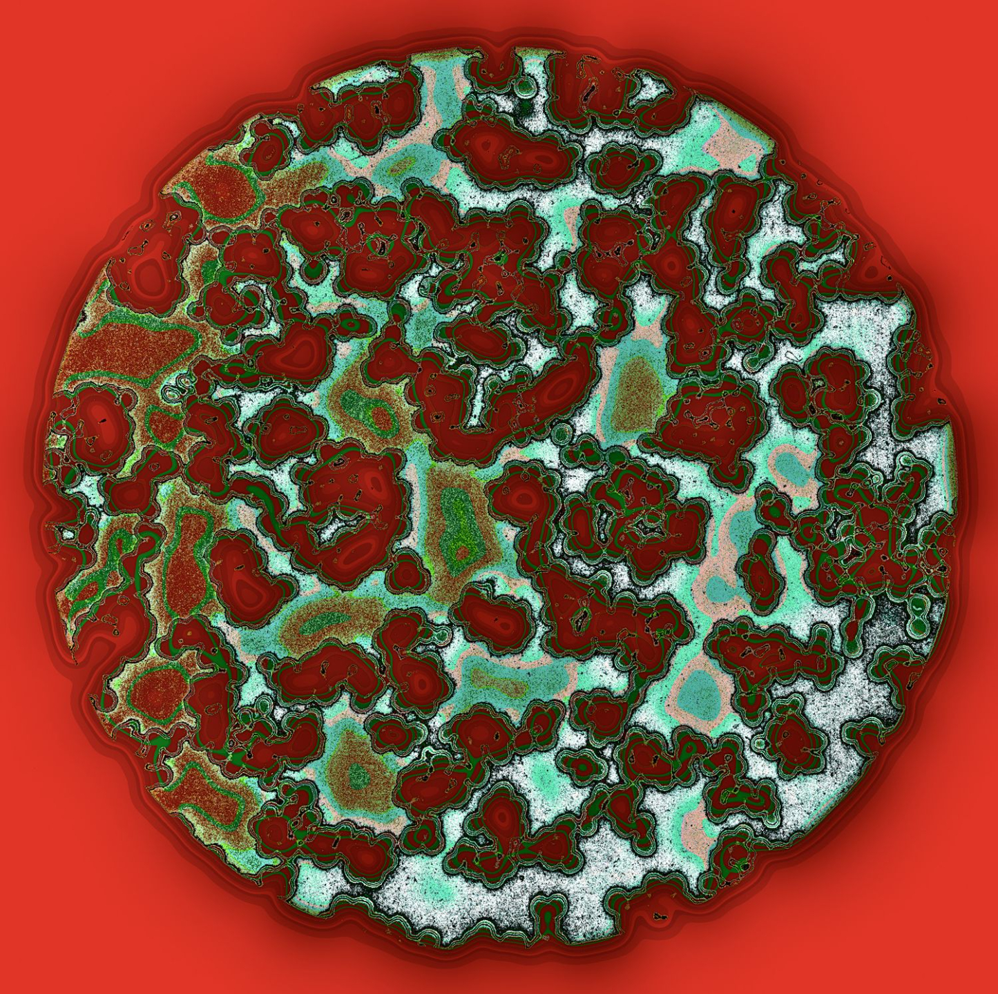 Abstract 30