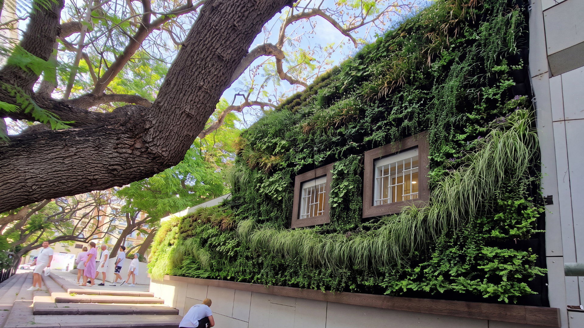 The same wall covered by a vertical garden