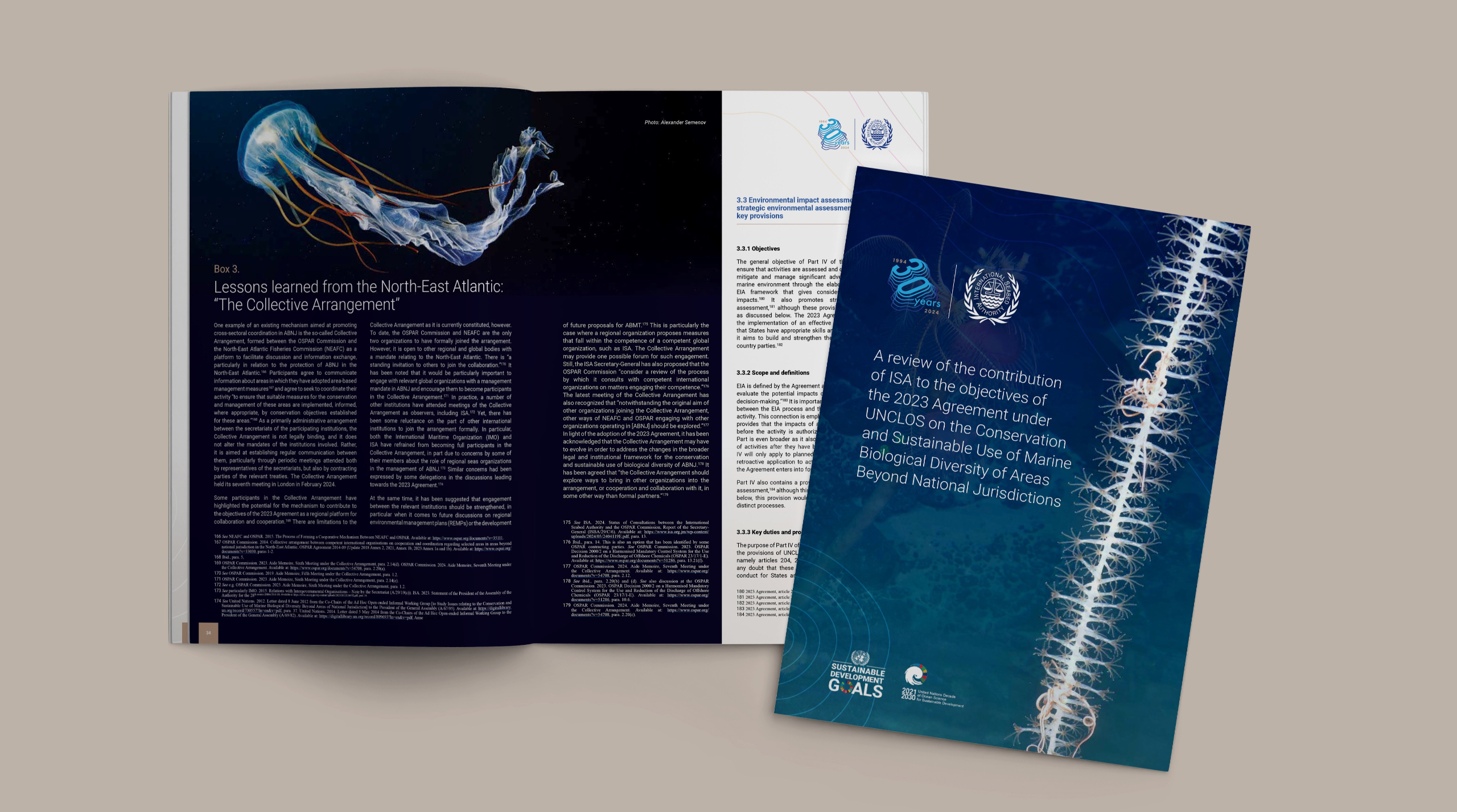 Design of Multi Page Report 