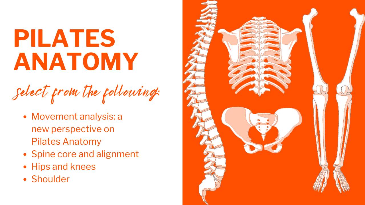 Pilates Anatomy Movement Analysis A New Perspective