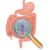 Address Poor Digestion and improve your Gut Function