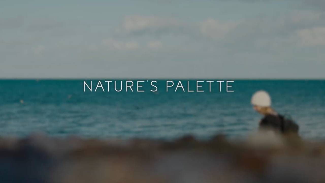 Lesson 2 – Nature's Colour Palette: expressive colour studies in outdoor landscape painting