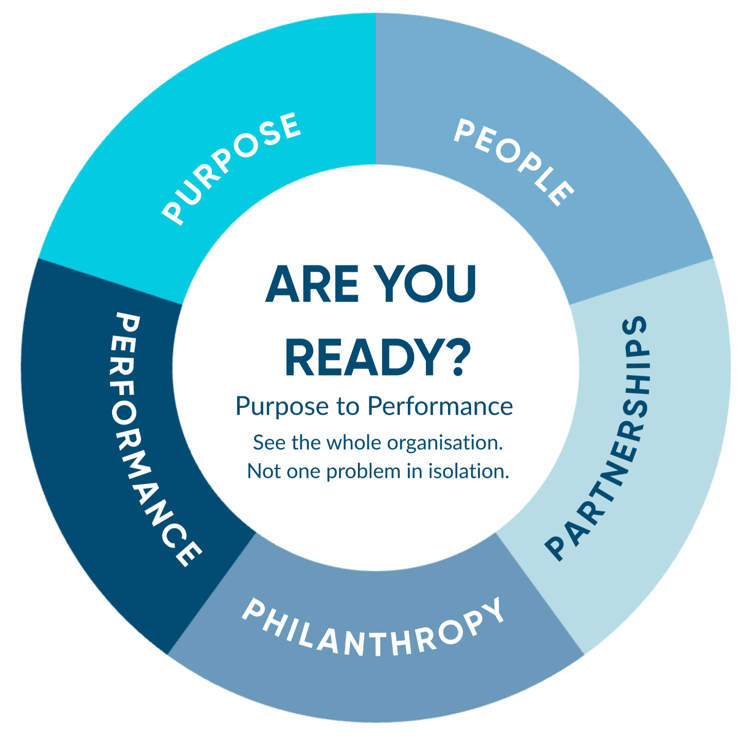 Purpose to Performance Framework: five connected dimensions, Purpose, People, Partnerships, Philanthropy and Performance.