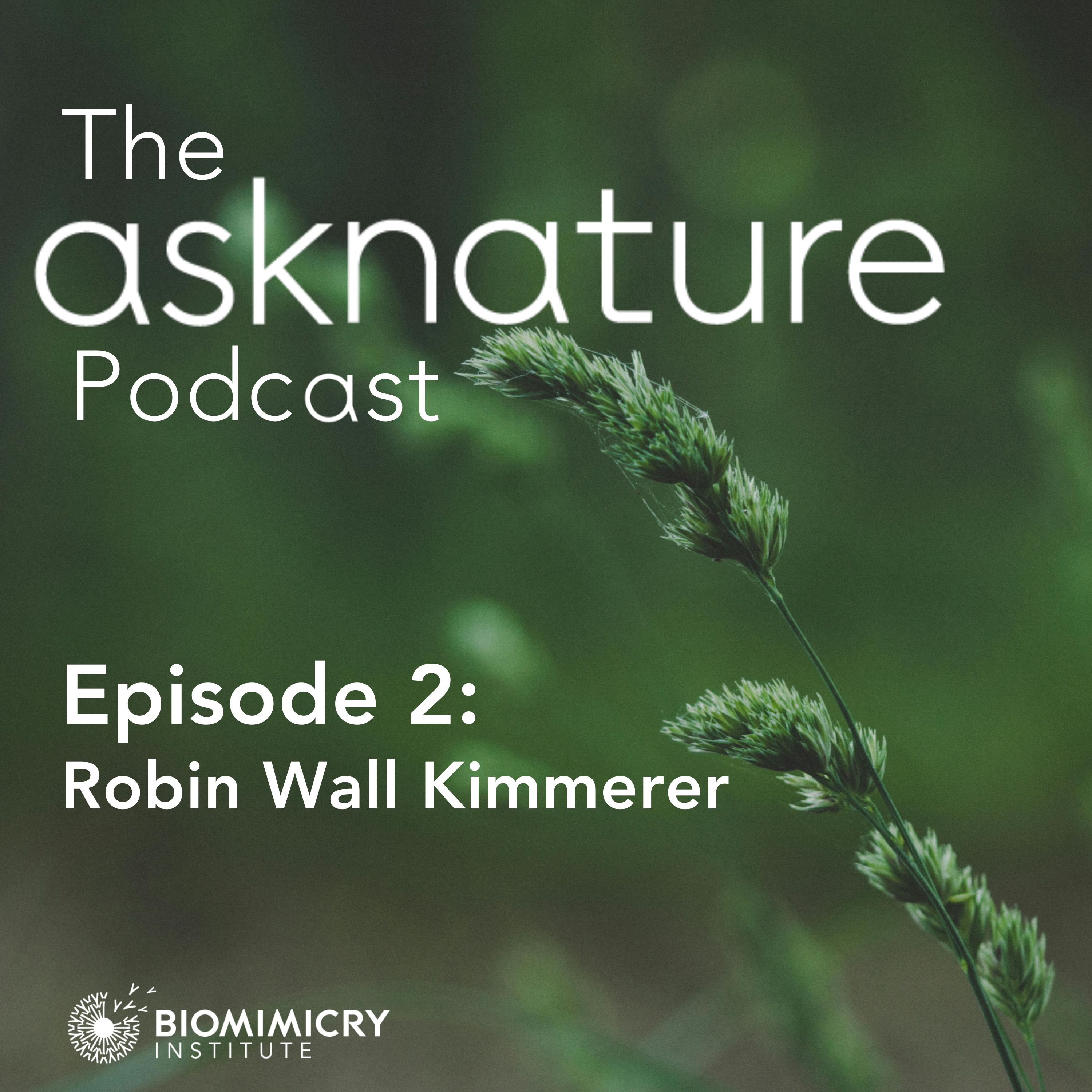 Robin Wall Kimmerer