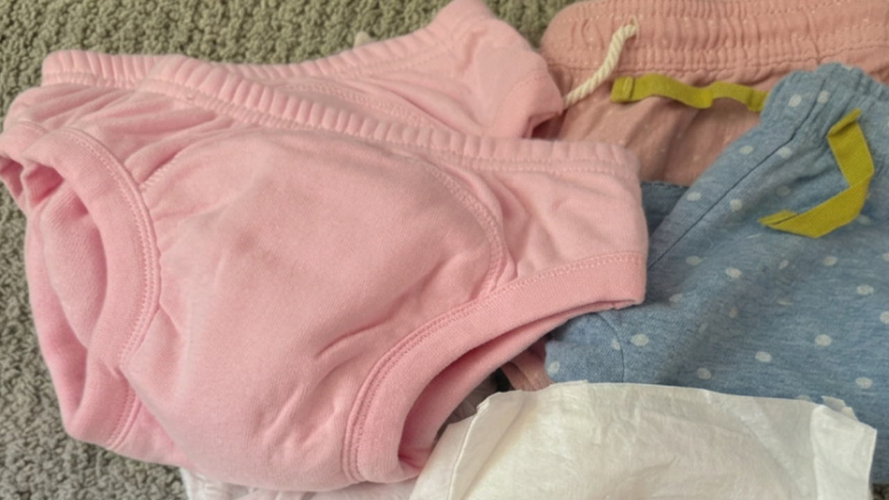 potty training pants