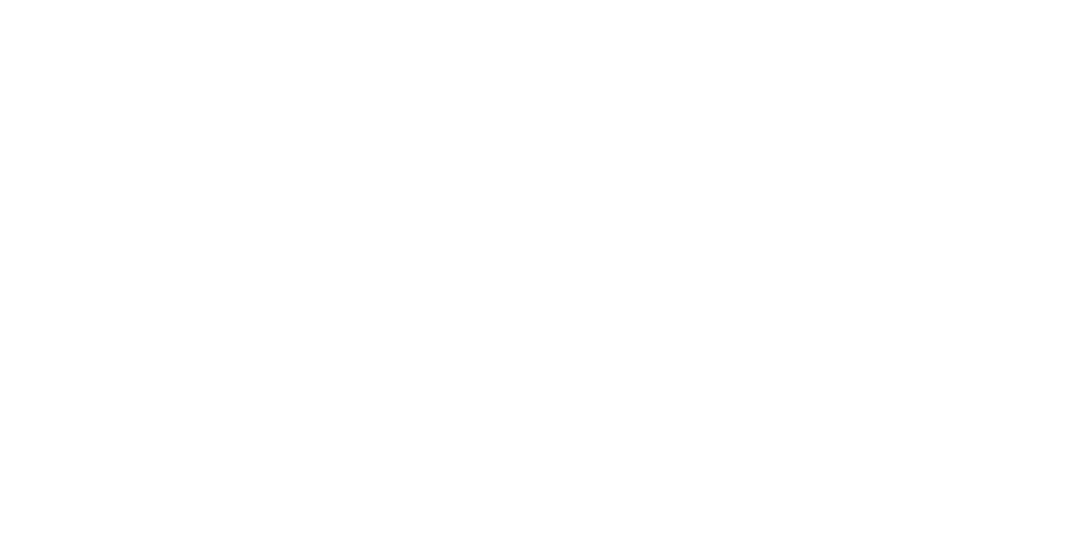 LImiteless Cyber Logo