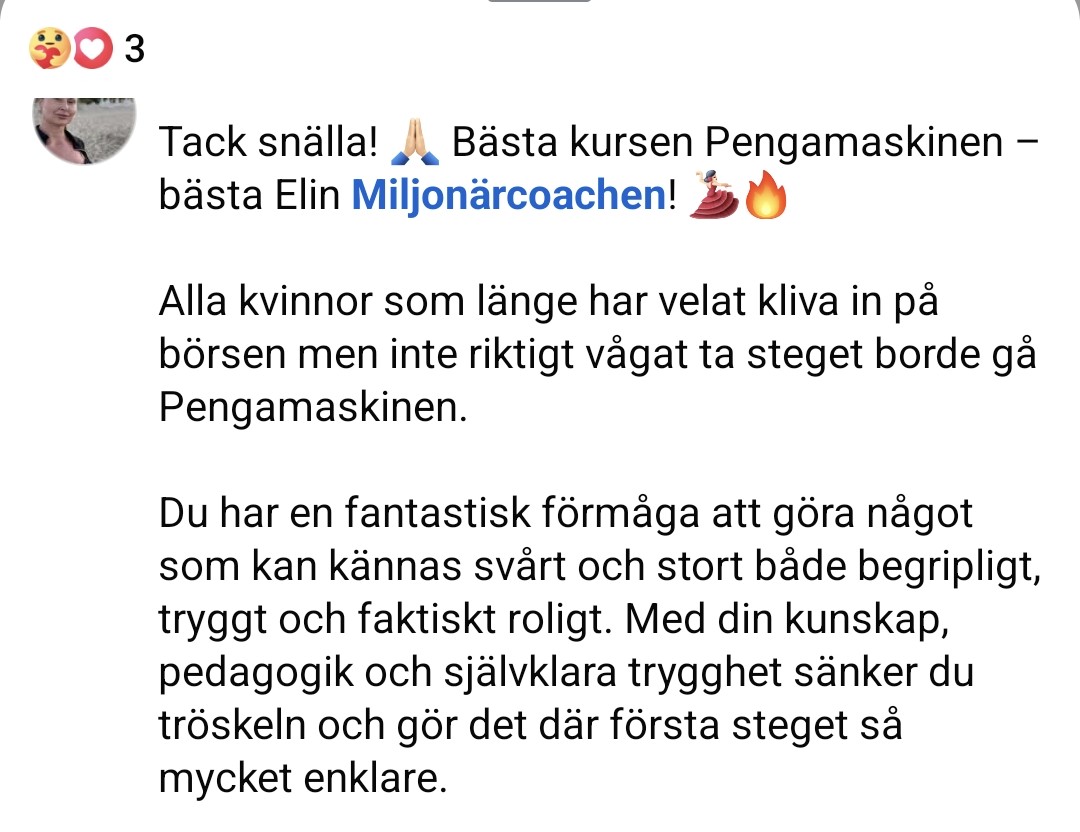 Skärmdump: Linda, deltagare