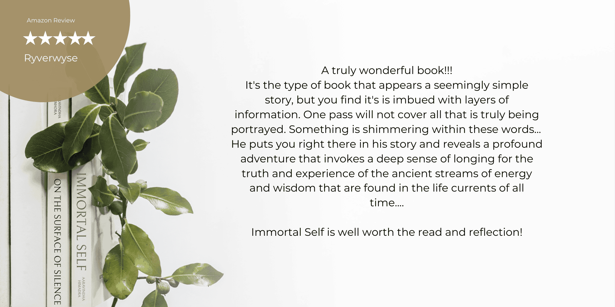 Fünf-Sterne-Buchrezensionen zu Immortal Self: A Journey to the Himalayan Valley of the Amartya Masters