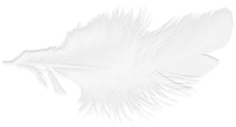 Flauschige weiße Feder