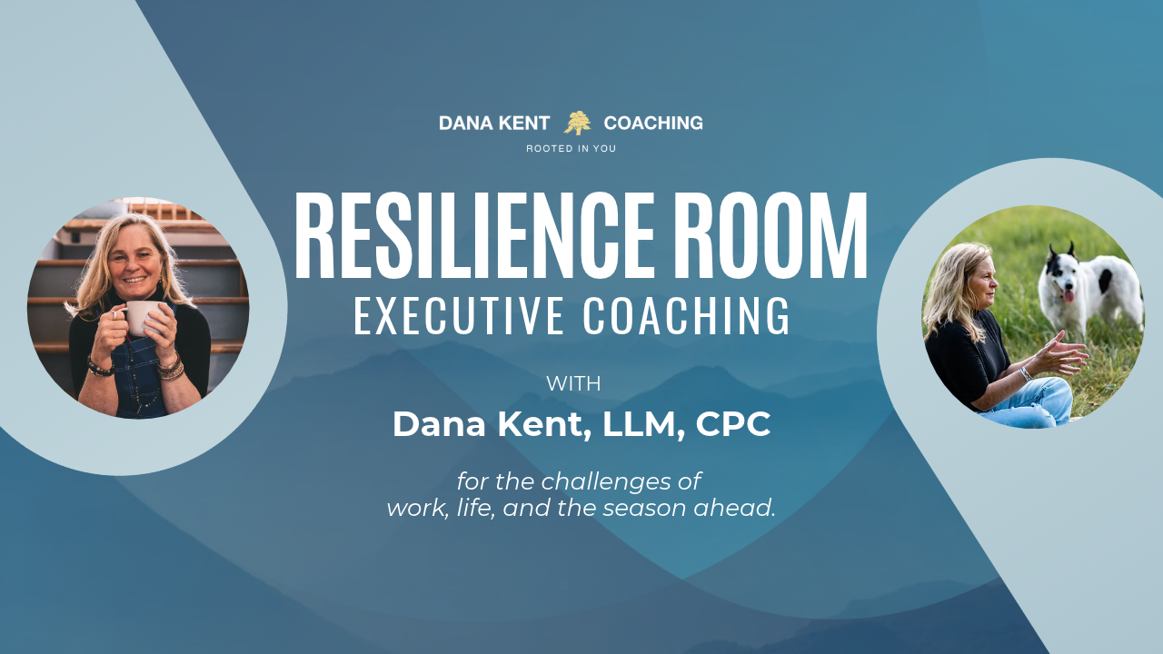 Resilience Room Mental Resilience for Mountain Pros