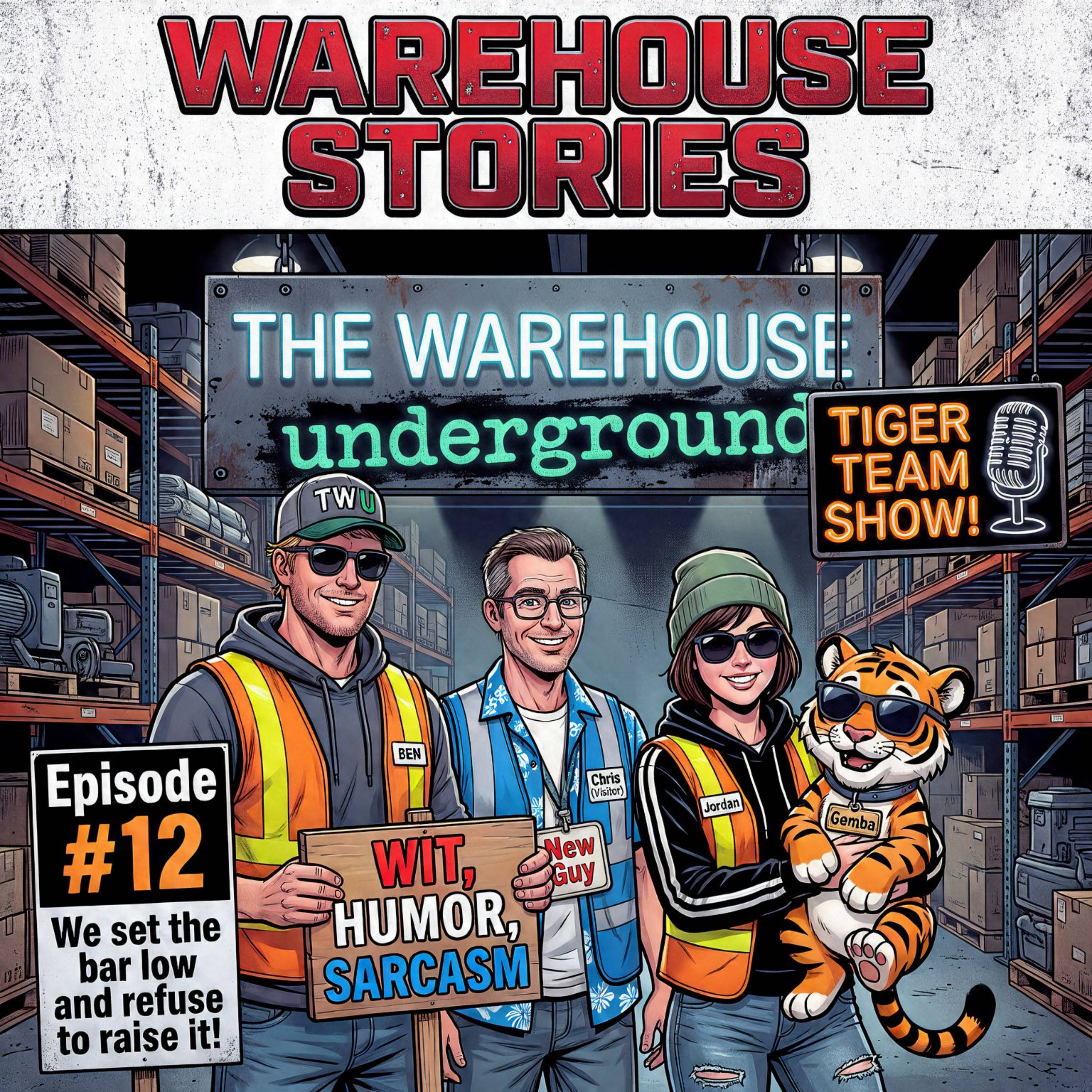 Tiger Team Episode 12 poster