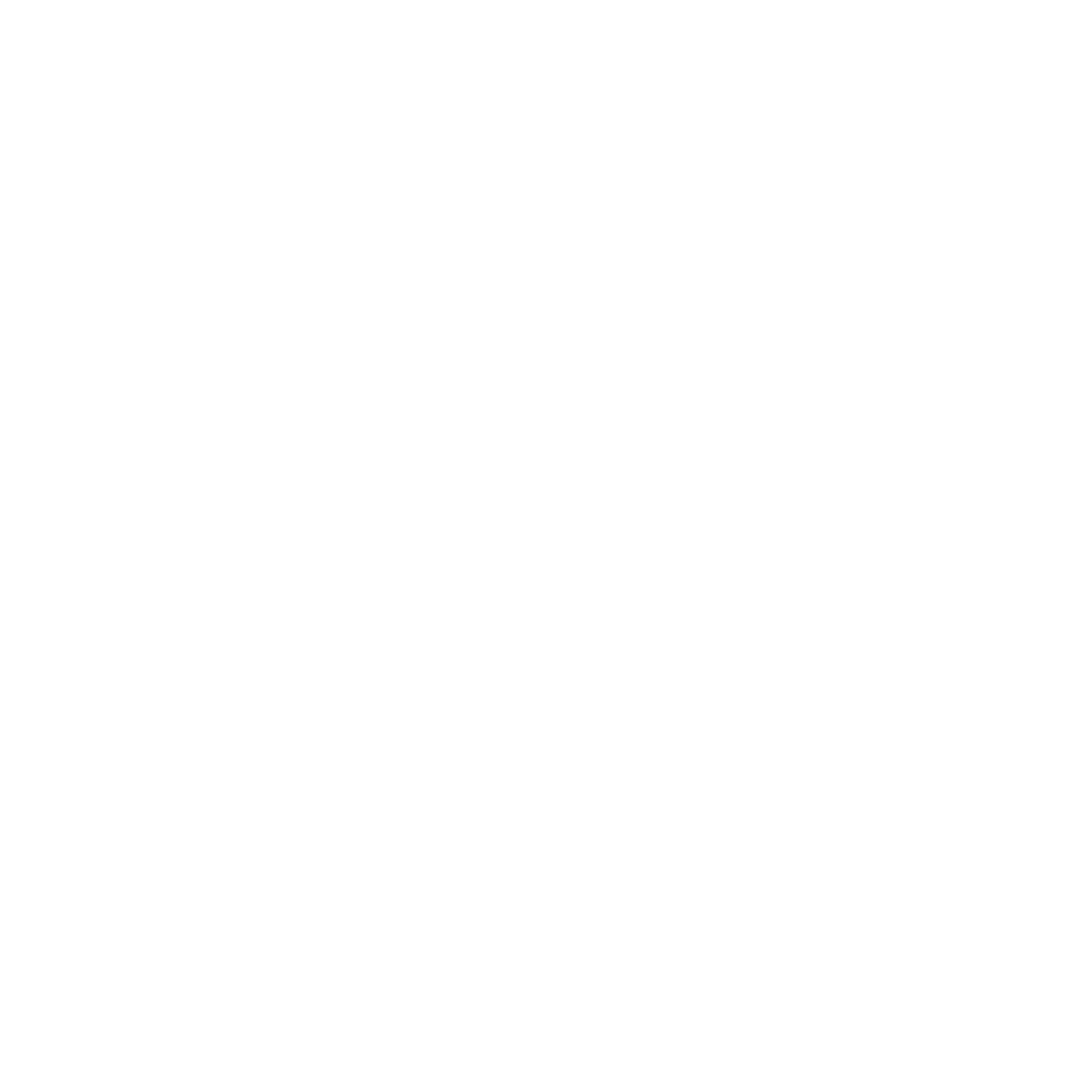 Discount Icon