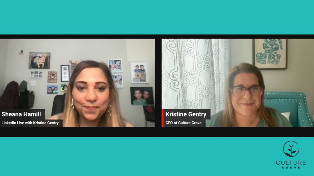 Beyond Ping Pong Tables An Anthropologist S Guide To Culture Change