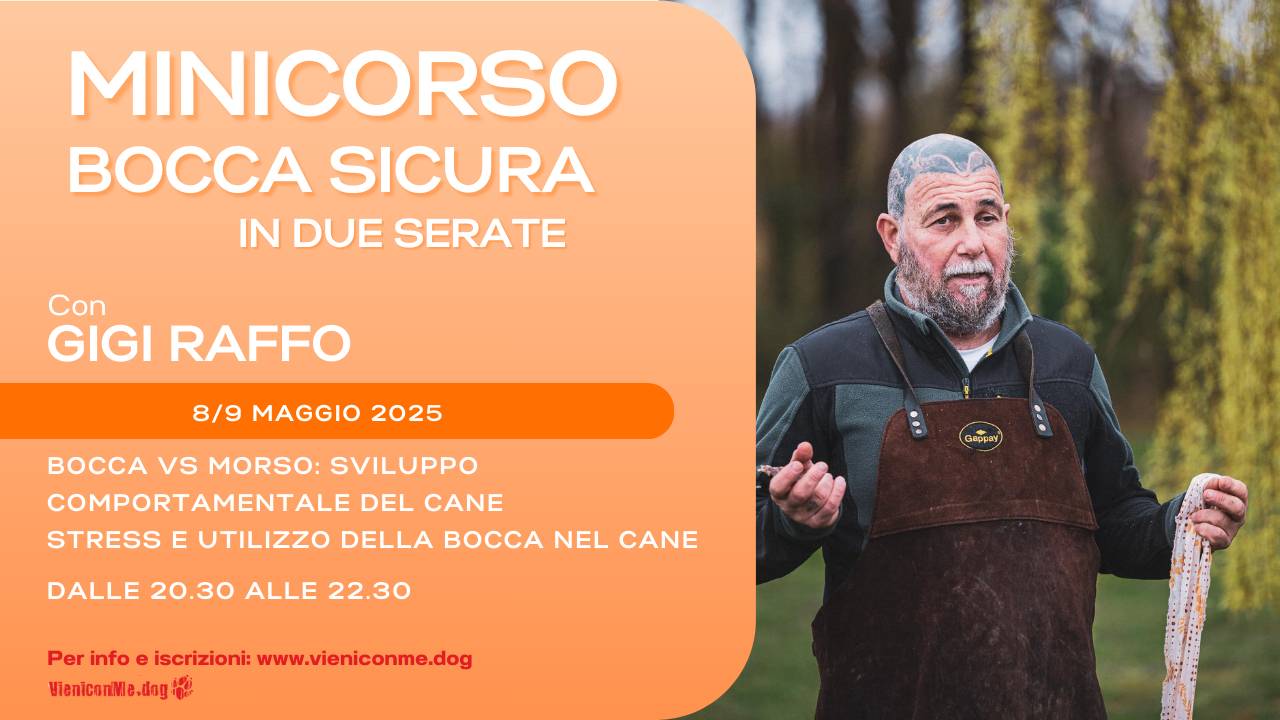 Mini Corso Mini Corso Bocca Sicura in due giornate Gigi Raffo