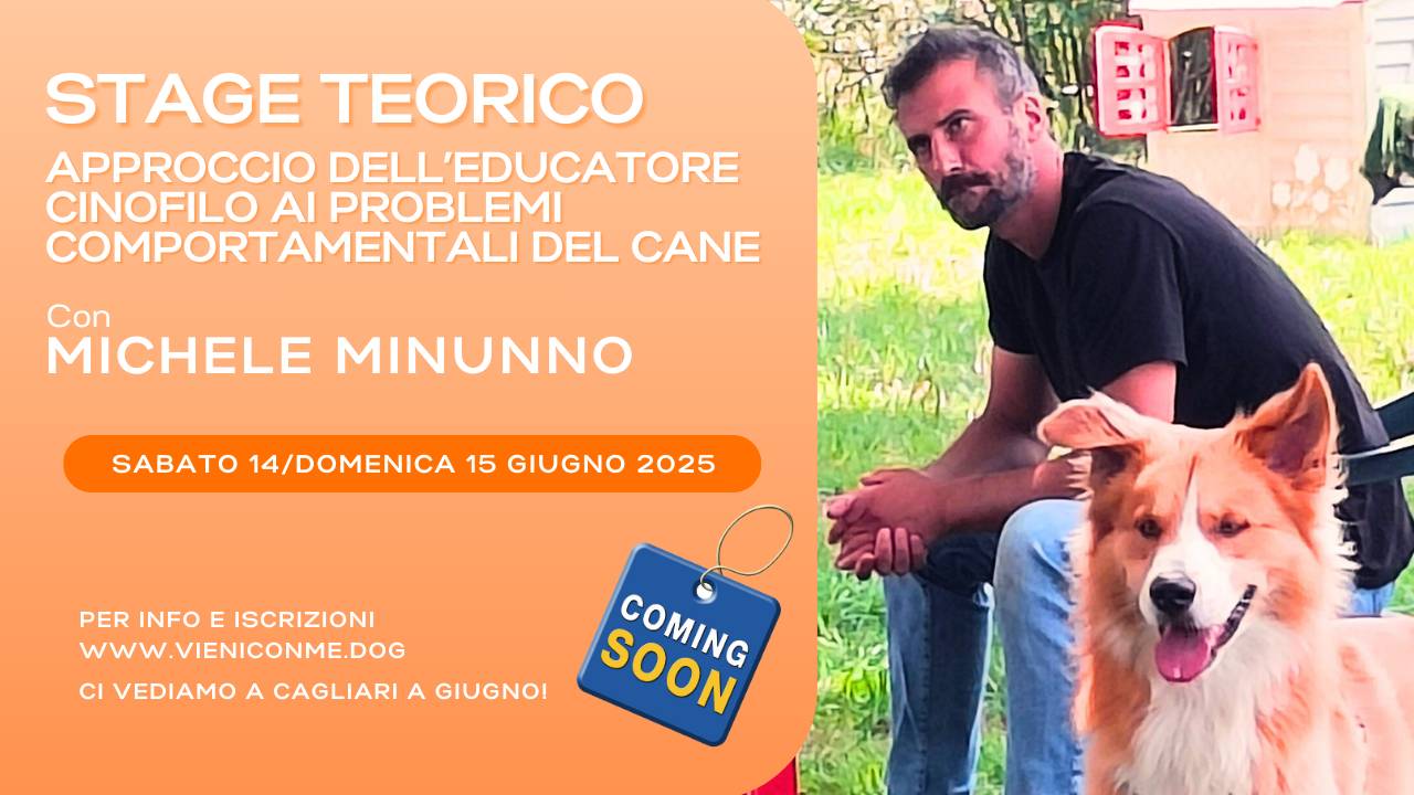 Giuliano Cirella (@giulianoaddestratorecinofilo) · Bari, image size:1280x720