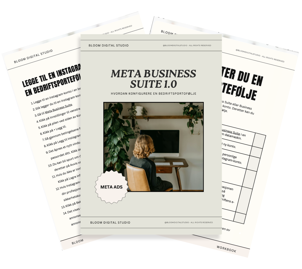 Meta Business Suite 1.0