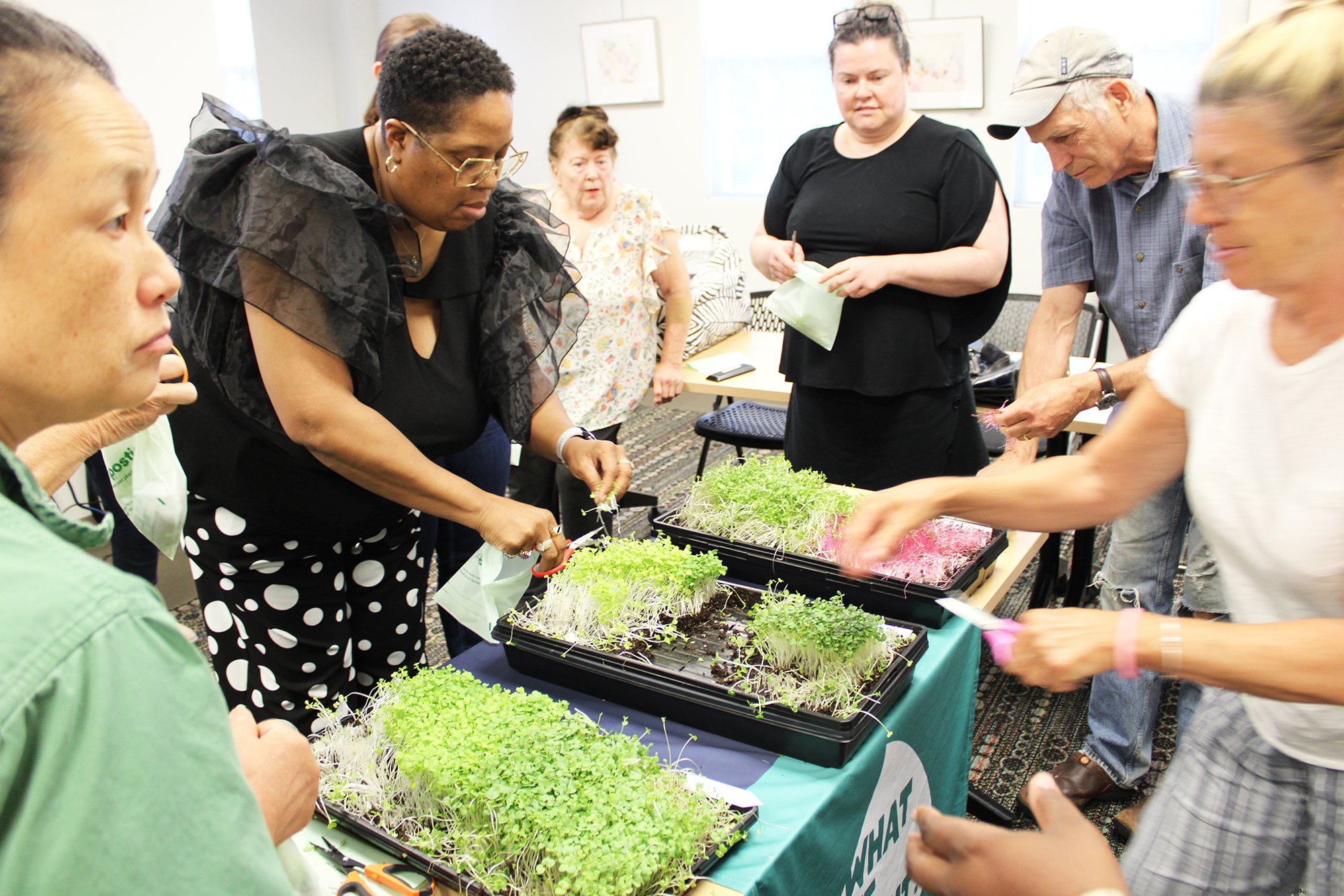 Group observing microgreens at a training session