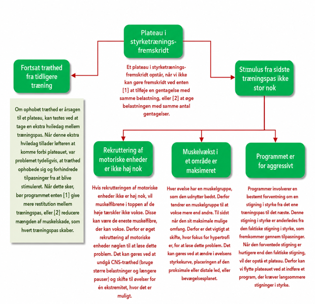 Flowchart for den tålmodige løfters strategi